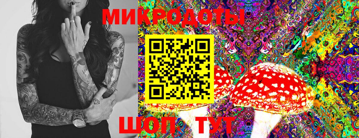 Зима  Псилоцибиновые грибы Psilocybe  Вход с VPN 