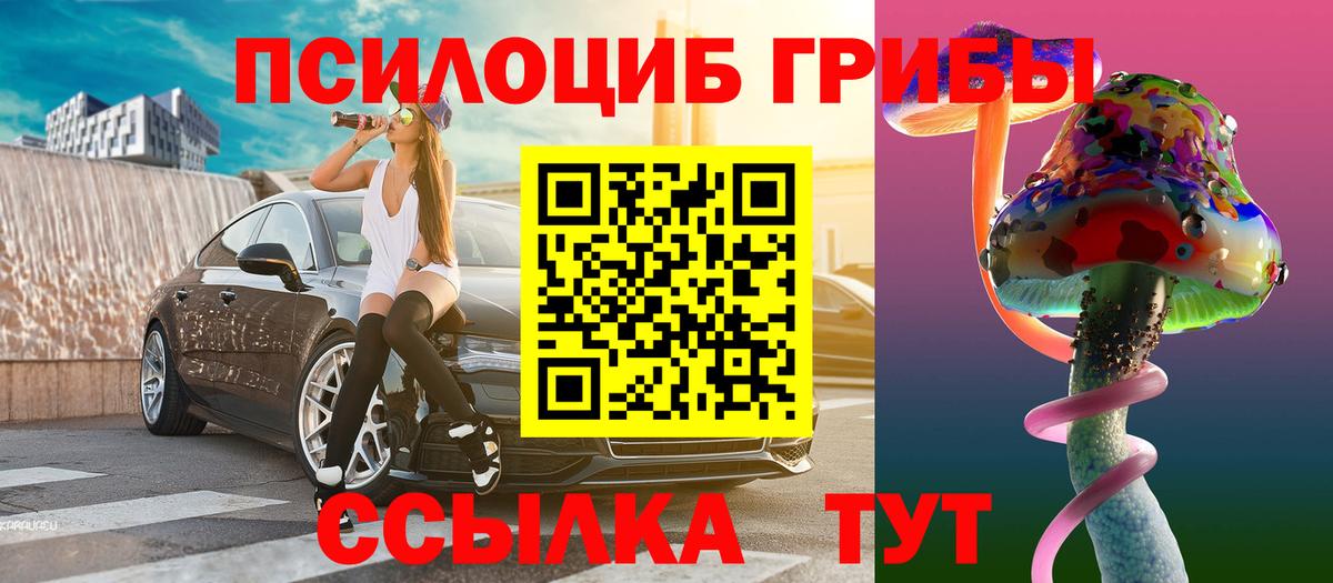 Галлюциногенные грибы Cubensis Зима